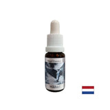 Supports communication - Michael Essence (Angel Essence No. 18), 15 ml drops