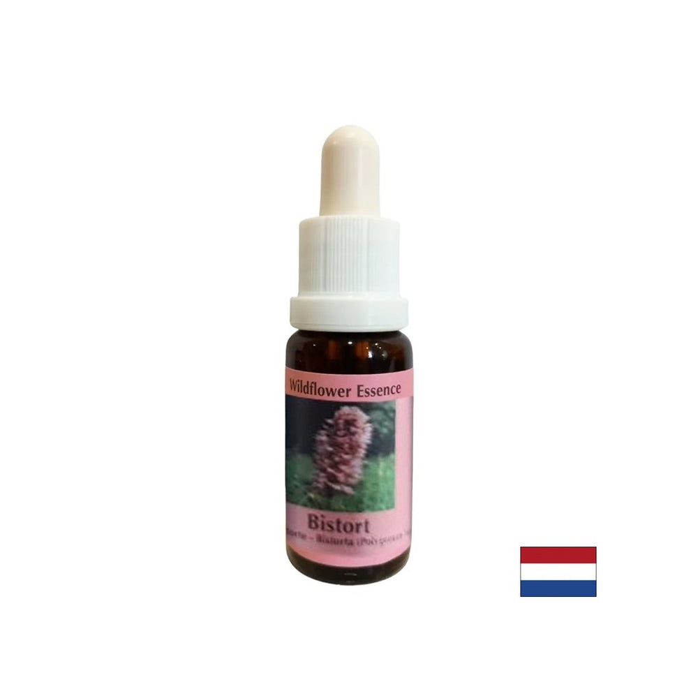 Supporta la concentrazione e la messa a fuoco - Essenza di bloodroot n. 28, scende 15 ml