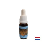 Podpira pozitivno preobrazbo in ravnovesje - Essence Rutilirane kremere št. 13, pade 15 ml