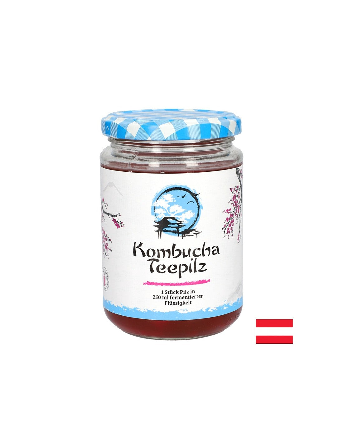 Renforce l'immunité - éponge de thé Kombucha avec thé de fruits fermentés, 200 ml