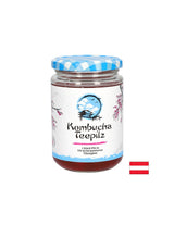 Renforce l'immunité - éponge de thé Kombucha avec thé de fruits fermentés, 200 ml
