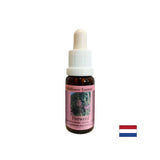 Aiuta a dissipare i ricordi negativi - Willow n. 37 a foglie strette essence, scende 15 ml