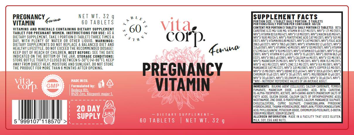 Nėštumo vitamino femina - 60 tablečių