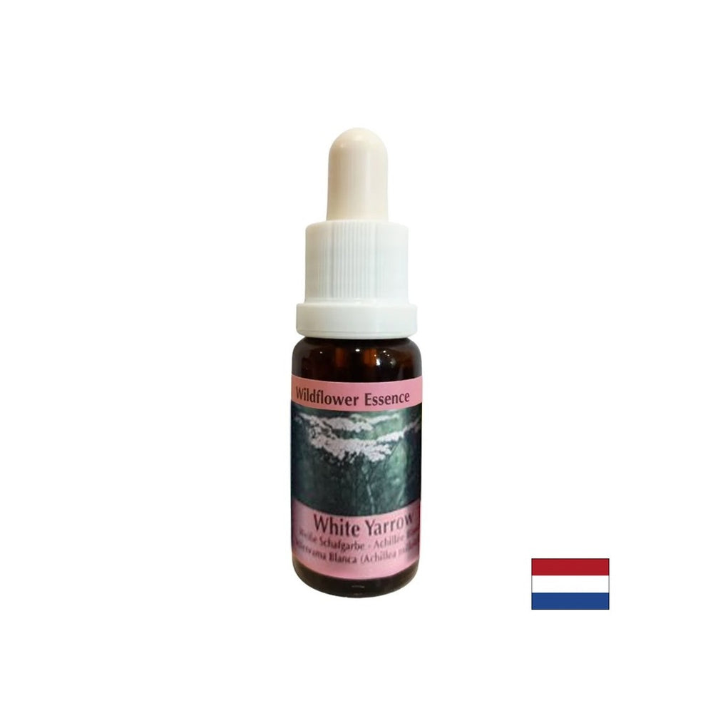 Eliminates discomfort and protects against foreign influence - Yarrow Essence No. 15, drops 15 ml