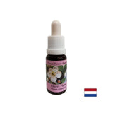 Allevia la tensione - Essence Janka n. 6, cade 15 ml