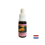 Removes tension from conflicts - Dandelion Essence No. 11, drops 15 ml
