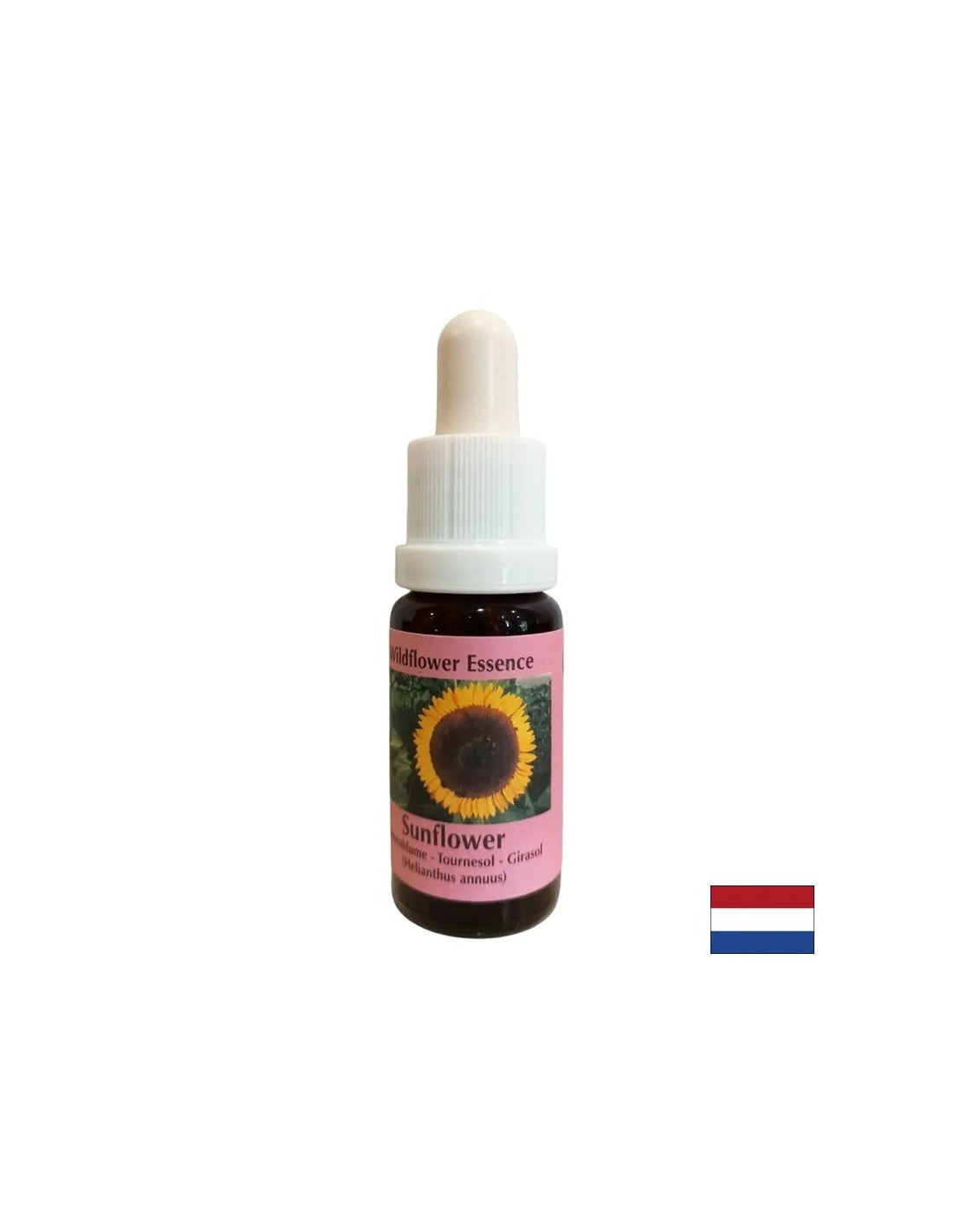Supera i conflitti con i genitori, rafforza l'autocoscienza e la responsabilità - Essenza di girasole n. 16, scende 15 ml