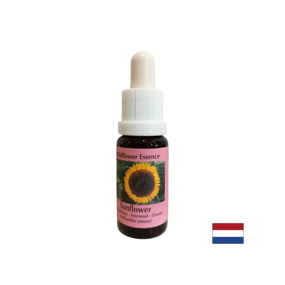 Supera i conflitti con i genitori, rafforza l'autocoscienza e la responsabilità - Essenza di girasole n. 16, scende 15 ml