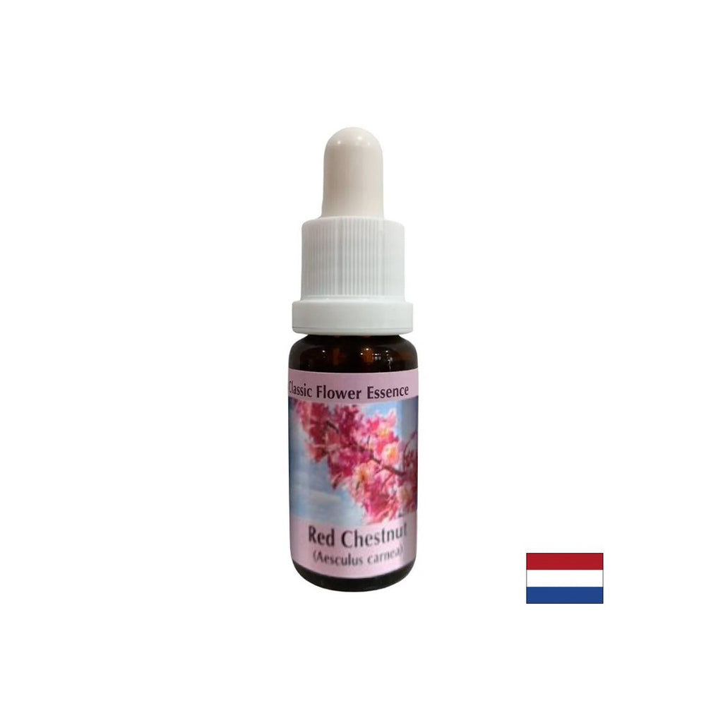 Quando è preoccupato per gli altri - Essenza di castagne rosse n. 25, scende 15 ml