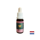 For injuries and shock - Arnica Essence No. 22, drops 15 ml
