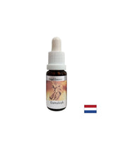 For relationship problems - Damabia Essence (Angel Essence No. 5), drops 15 ml
