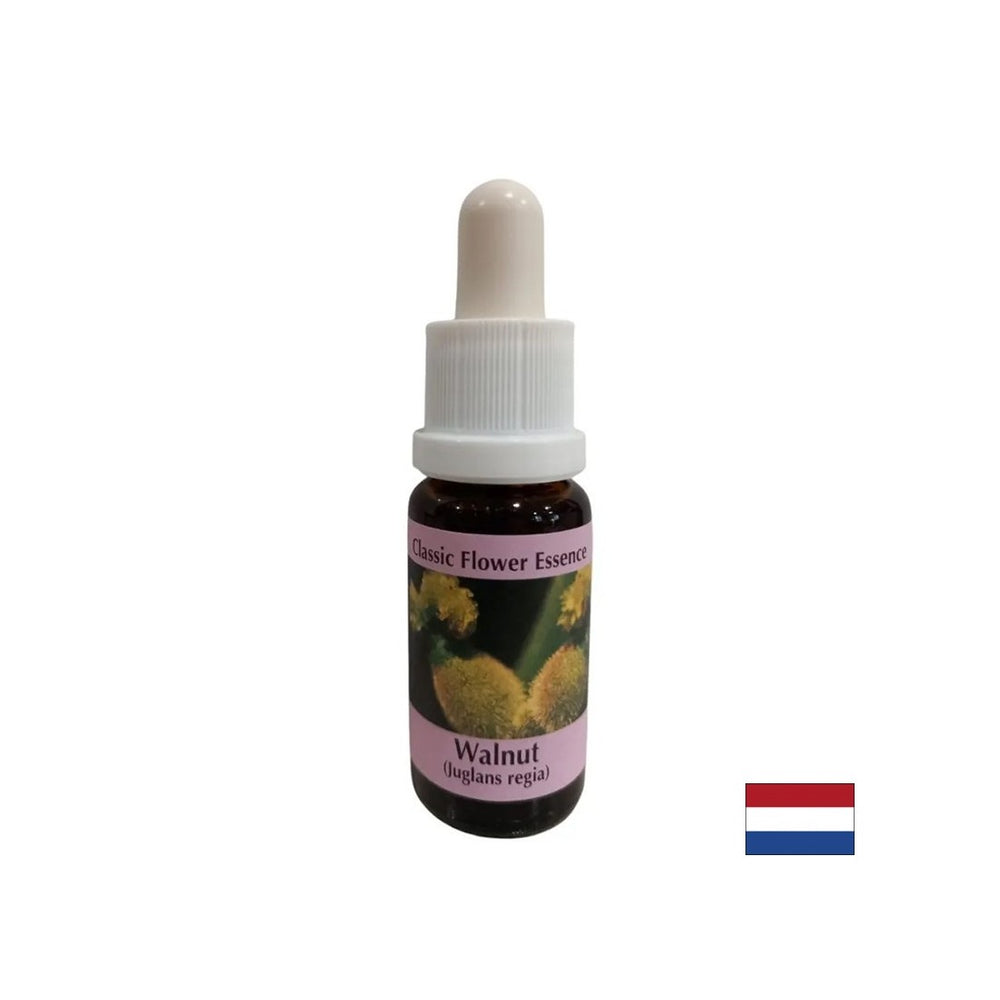 In seguito al cambiamento - Walnut Essence n. 33, cade 15 ml