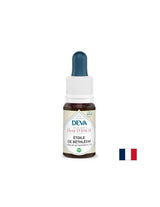For stress and shock - Star of Bethlehem (Crow's Onion), Bach drops, 15 ml