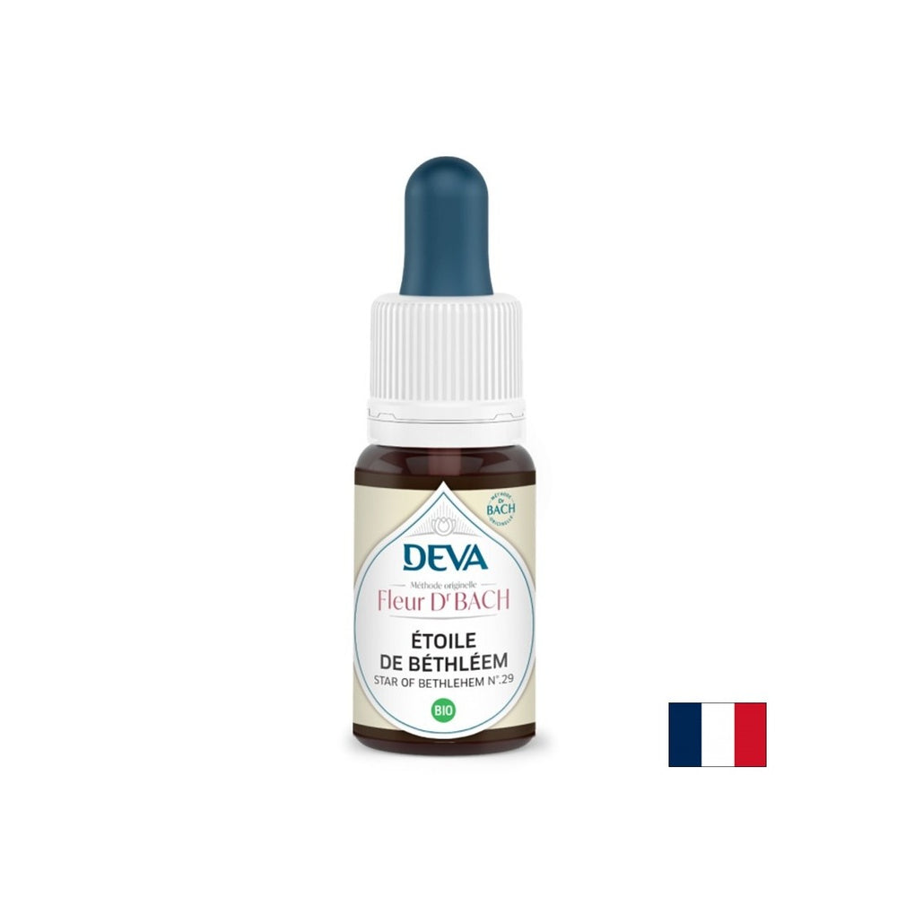 For stress and shock - Star of Bethlehem (Crow's Onion), Bach drops, 15 ml