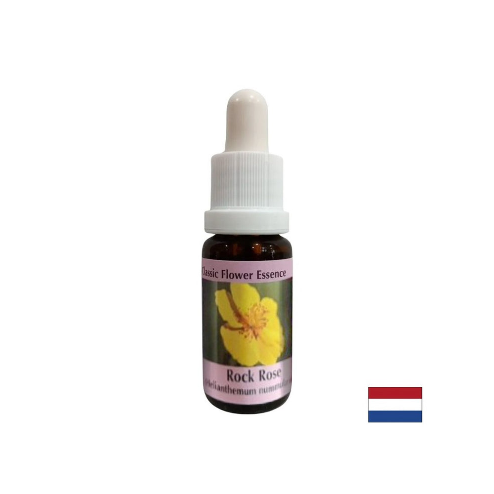 Chiarisce la mente in caso di paura e panico - Essenza di Helianthemum (giallo) n. 26, cade 15 ml