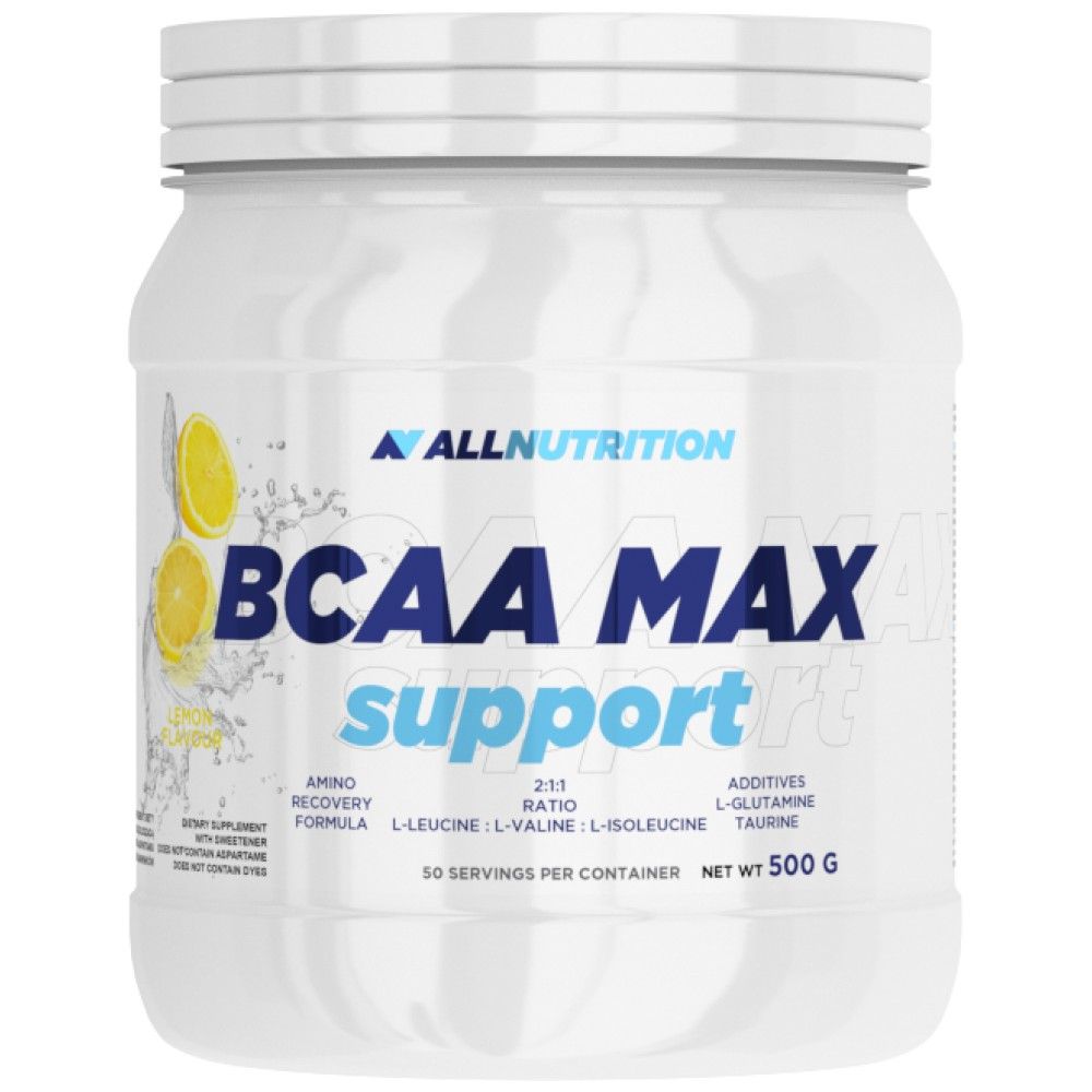 BCAA Max Support - 500 Gramm