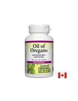 Oil of Oregano Organic 180 mg - 60 Gel capsules