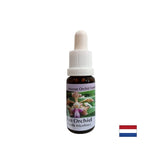 Creates mood and joy - Essence Cheerful Orchid No. 11, drops 15 ml