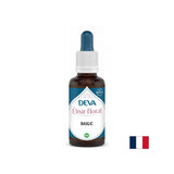 Pro vyvážení sexuality a harmonizace intimních vztahů - Basil, Bach Drops, 15 ml