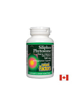 Premium Milk Thistle / Siliphos Phytosome 160 mg - 60 capsules