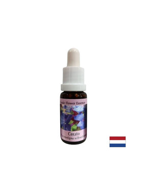 Stimulates intuition and decision-making - Essence Ceratosigma (Wax) No. 5, drops 15 ml - Nutra Best Europe