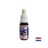 Stimola l'intuizione e il processo decisionale - Essence Ceratosigma (cera) n. 5, scende 15 ml