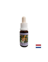 Stimulates a positive attitude towards life - Essence Colorful Orchid No. 7, drops 15 ml