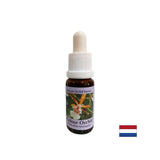 Stimulates a positive attitude towards life - Essence Colorful Orchid No. 7, drops 15 ml