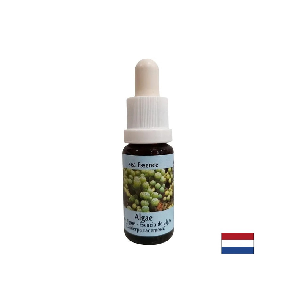 Stimola l'auto -guarigione - Essence alghe n. 1, scende 15 ml