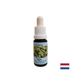 Stimola l'auto -guarigione - Essence alghe n. 1, scende 15 ml