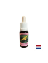 Stimulates conscious change - Essence White Mistletoe No. 12, drops 15 ml