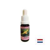 Stimulates conscious change - Essence White Mistletoe No. 12, drops 15 ml