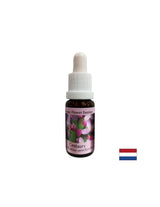 Stimulates the will - St. John's Wort Essence No. 4, drops 15 ml