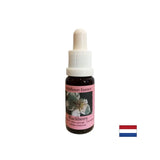 Stimola la vitalità e attiva la creatività - Blackberry Essence n. 22, cade 15 ml