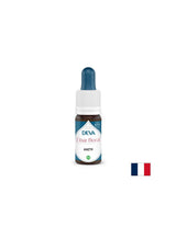 For mental clarity and balance in conditions of sensory overload - Fennel, Bach drops, 15 ml