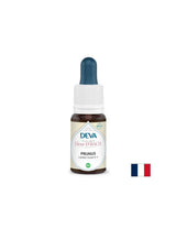 Strach a nejistota - Janka, Bach Drops, 15 ml
