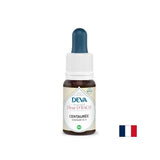 Stress and good mood - St. John's wort, Bach method drops No. 4, 15 ml