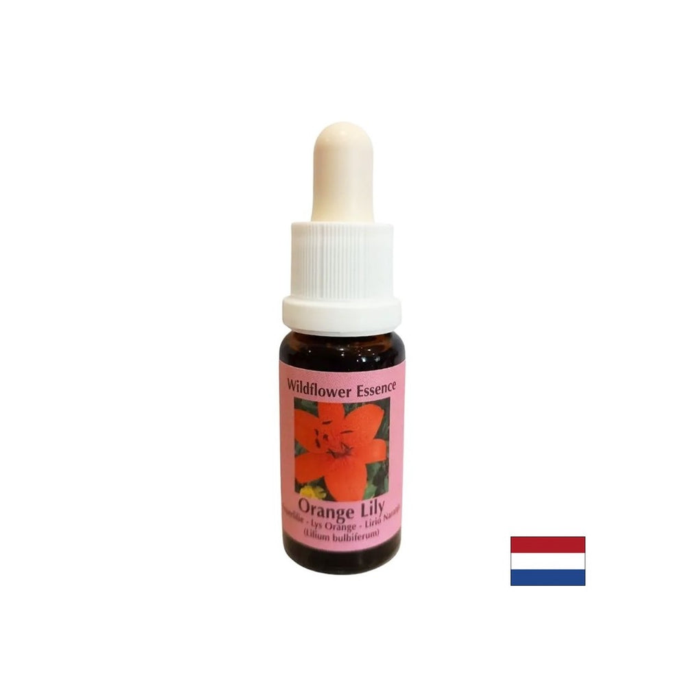 Collega il 2 ° e il 4 ° Chakra, stimola l'energia e la creatività - Essenza di Lilium n. 25, scende 15 ml