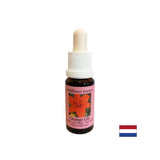 Collega il 2 ° e il 4 ° Chakra, stimola l'energia e la creatività - Essenza di Lilium n. 25, scende 15 ml