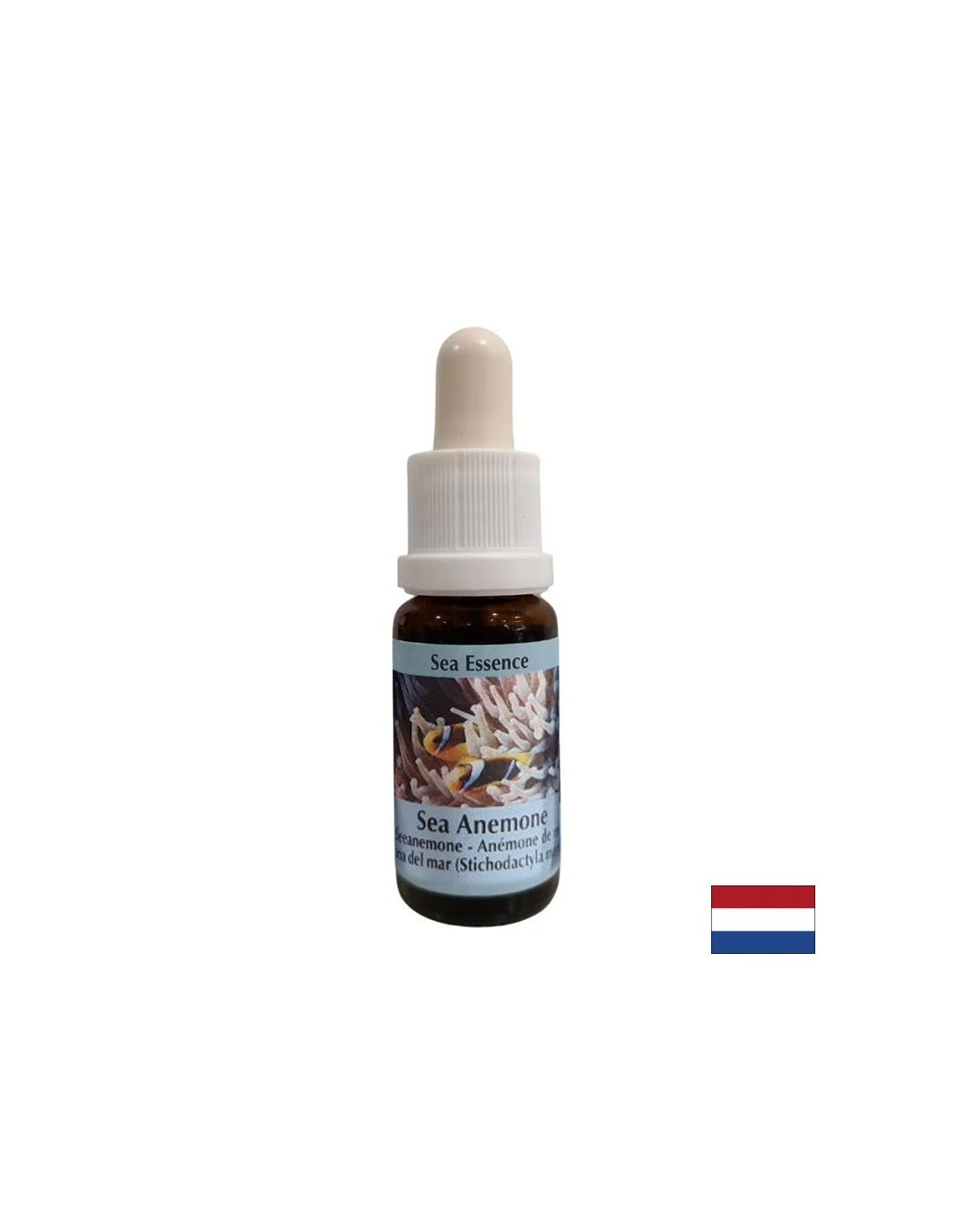 Strengthens cohesion and clarity when choosing a partner - Sea Anemone Essence No. 6, drops 15 ml