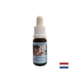 Strengthens cohesion and clarity when choosing a partner - Sea Anemone Essence No. 6, drops 15 ml
