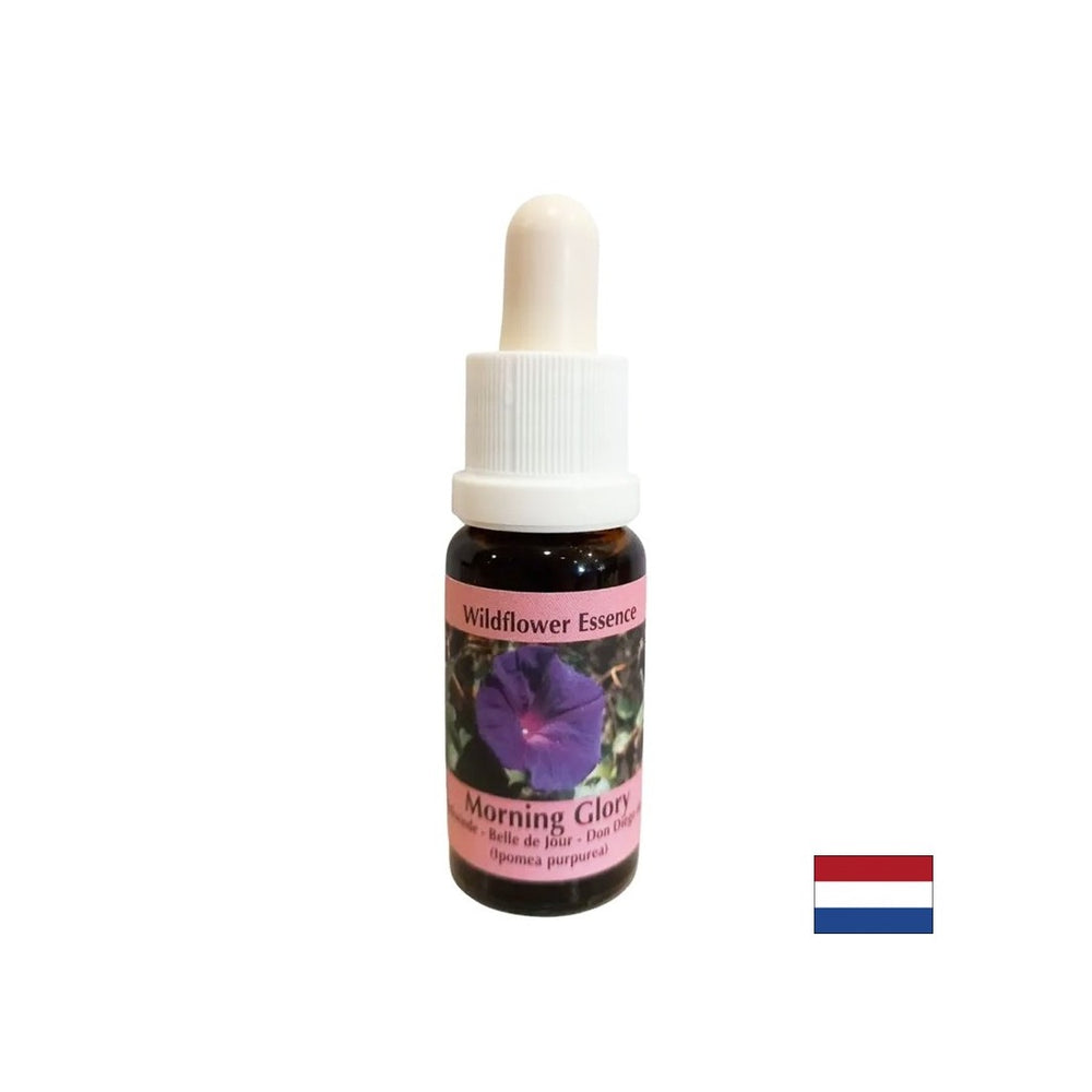 Calms ansia ed sradicare le abitudini negative - Essenza del grammofono n. 34, cade 15 ml
