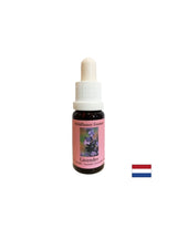 Calms and integrates the spiritual into everyday life - Lavender Essence No. 30, 15 ml drops