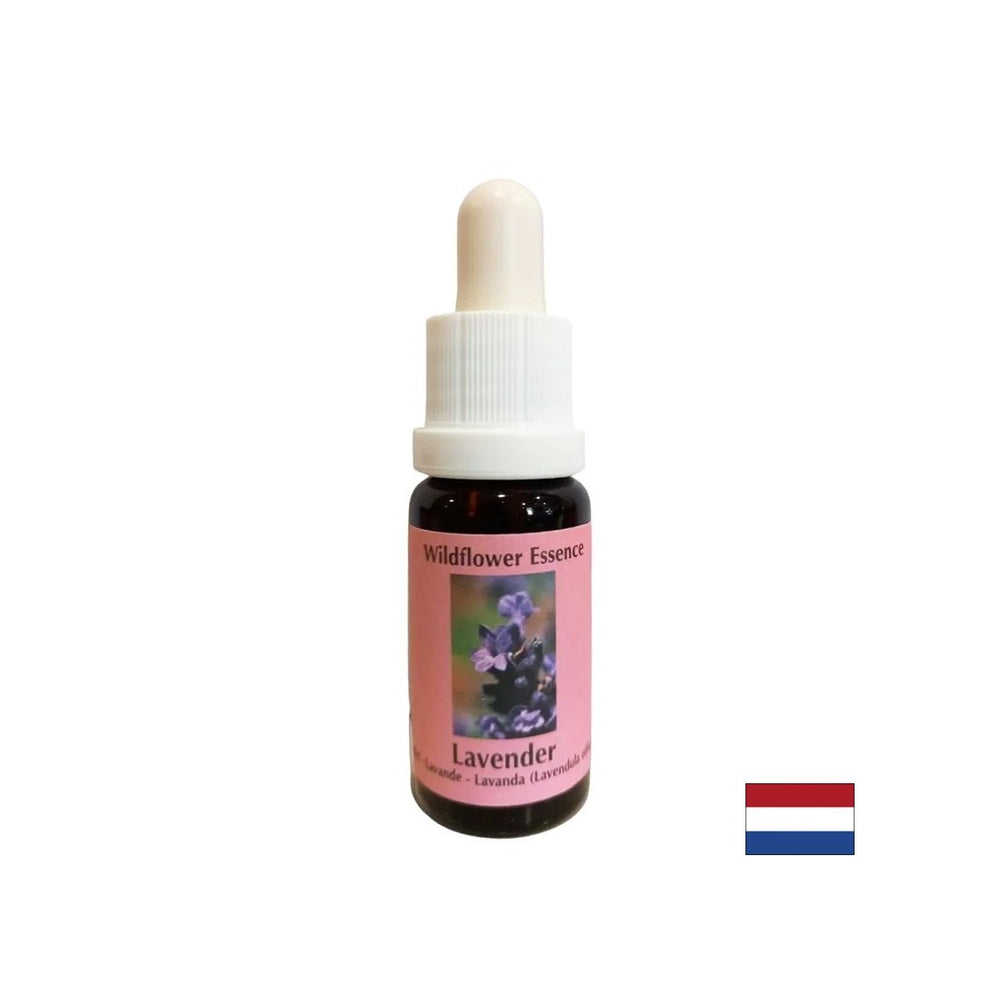 Calms and integrates the spiritual into everyday life - Lavender Essence No. 30, 15 ml drops