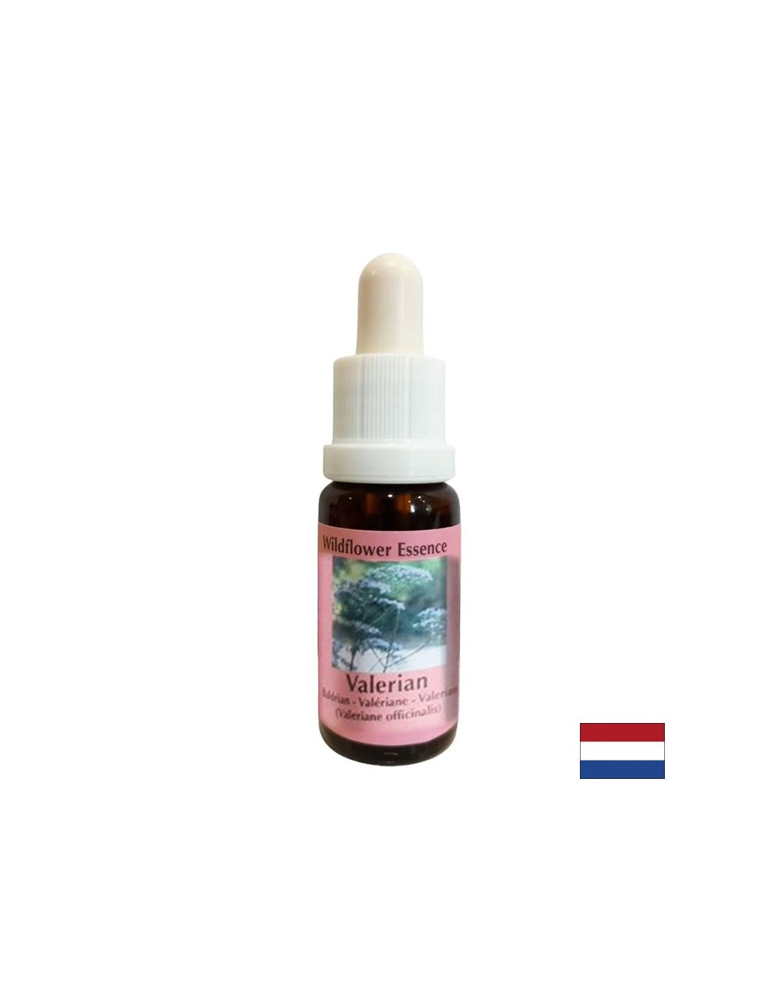 Calms the body and spirit, helps against insomnia and stress - Valerian Essence No. 21, drops 15 ml