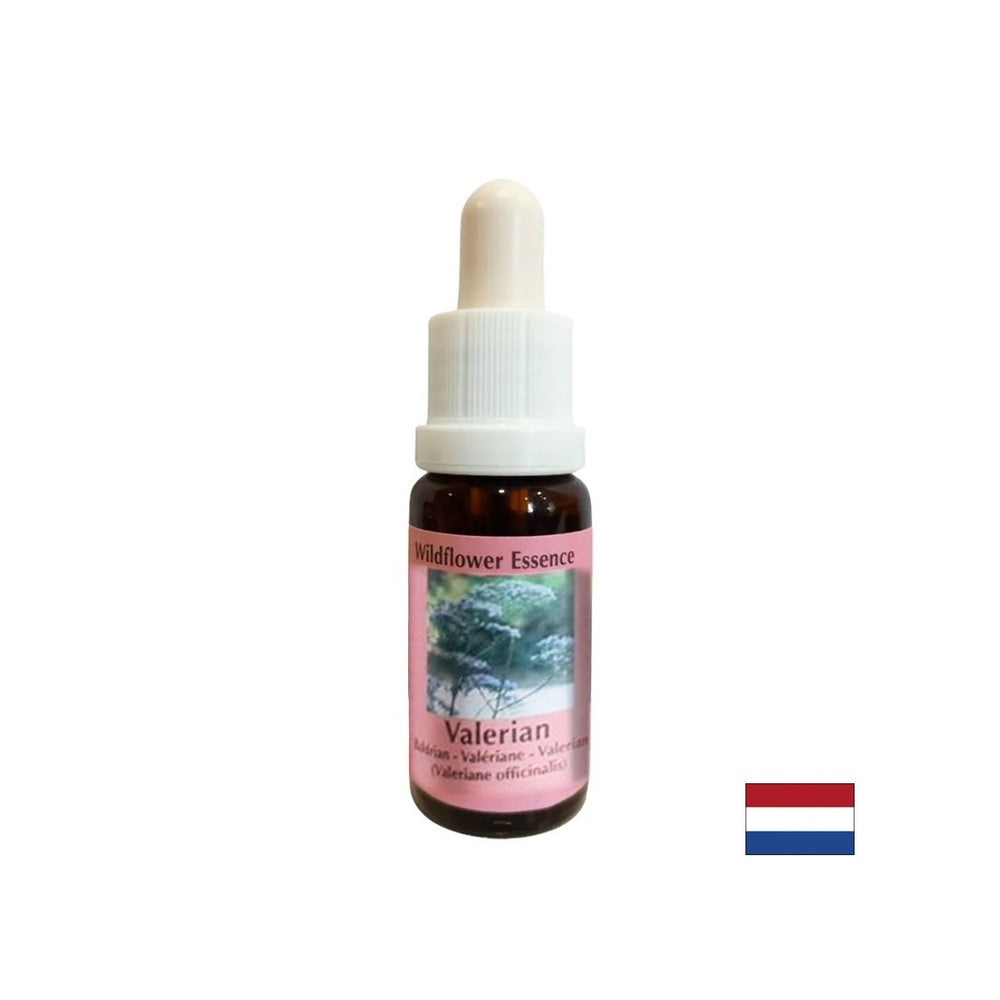 Calms the body and spirit, helps against insomnia and stress - Valerian Essence No. 21, drops 15 ml