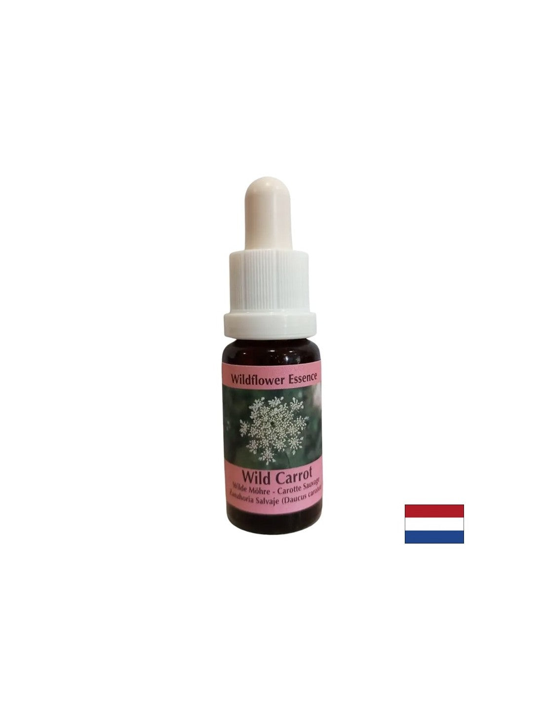 Calms the Mind - Wild Carrot Essence, cade 15 ml