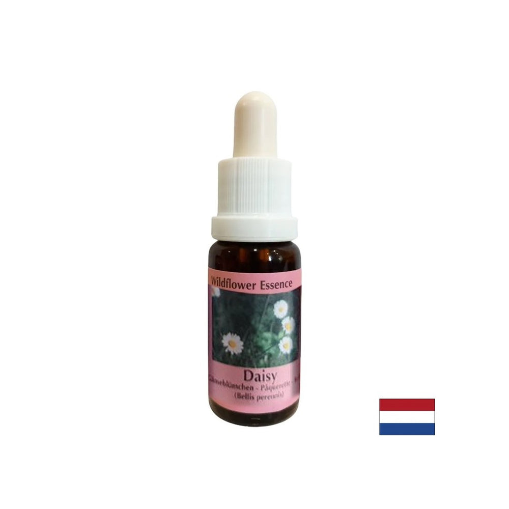 Aumenta la memoria e la capacità di apprendimento - Common Daisy Essence n. 26, scende 15 ml