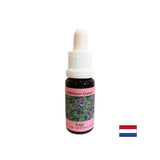 Ripristina il ritmo e supporta l'adattamento - Sage Essence n. 36, cade 15 ml