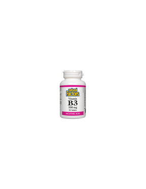 Vitamin B3 500 mg - 90 Tablets - Nutra Best Europe